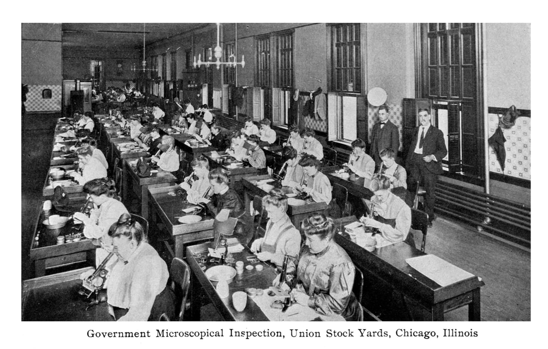 Picture of a government microscopical inspection station at Union Stock Yards in Chicago, Illinois.