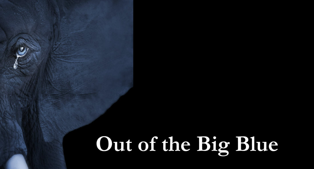 Image of a crying elephant and tagline: Out of the Big Blue.