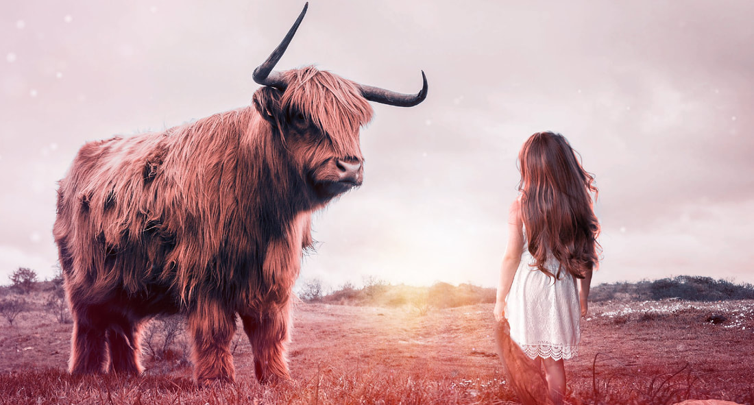 A high-quality image of a little girl looking into the eyes of an oxen.