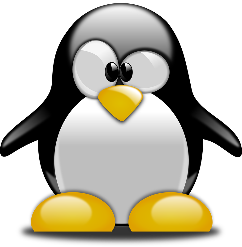 Picture of a confused penguin who just heard IBM computerese.