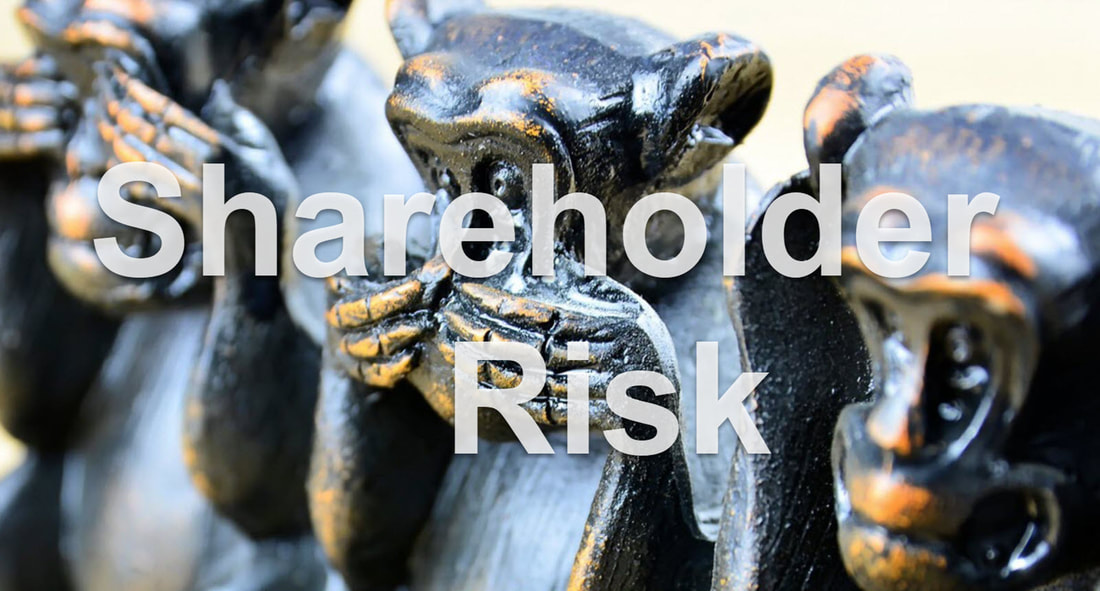 IBM Shareholder Risk as with a picture of three monkeys who see no evil, hear no evil and speak no evil with the tagline: Shareholder Risk.