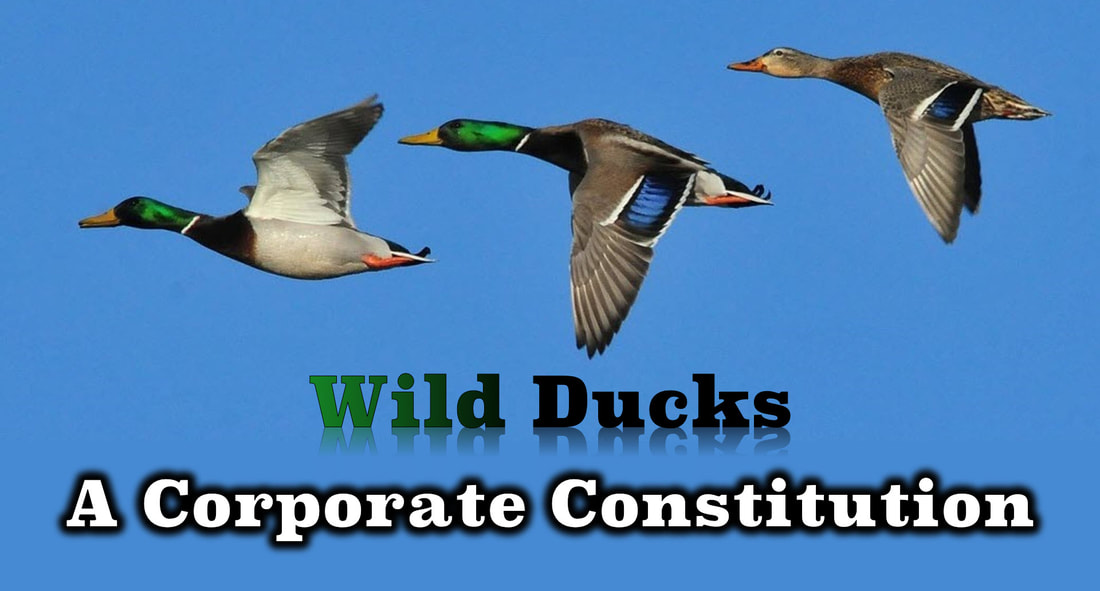 Picture of three IBM Wild Ducks flying in formation.