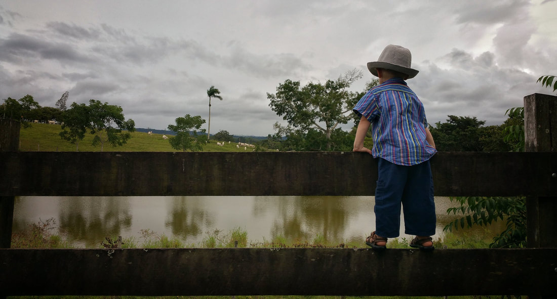 Image of young child looking over a fence.