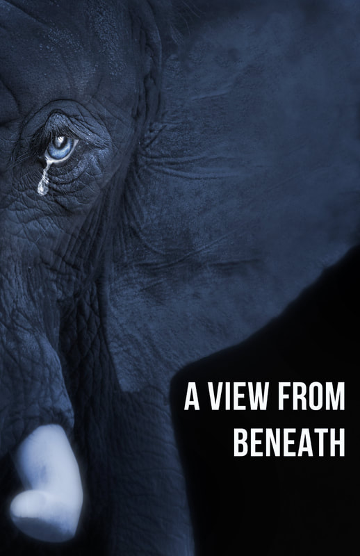 Picture of a crying elephant with the tag line, 