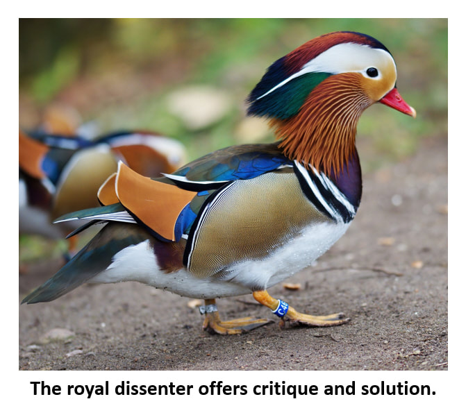 Picture of a Royal Duck to symbolize Buck Rogers' 