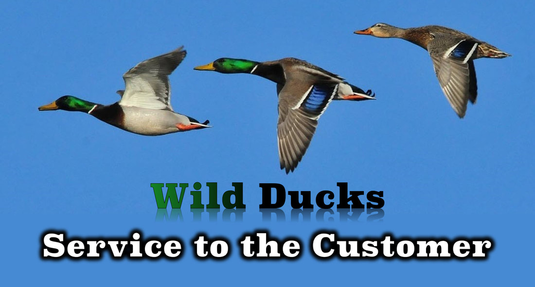 Picture of three IBM Wild Ducks in flight.
